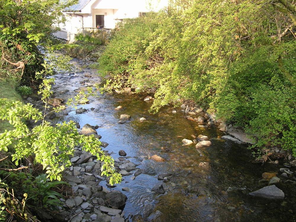 Whistlers Dell B&B Rhu Dış mekan fotoğraf