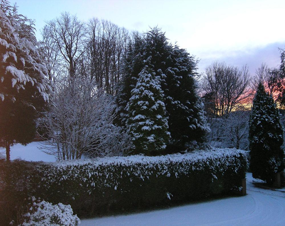 Whistlers Dell B&B Rhu Dış mekan fotoğraf